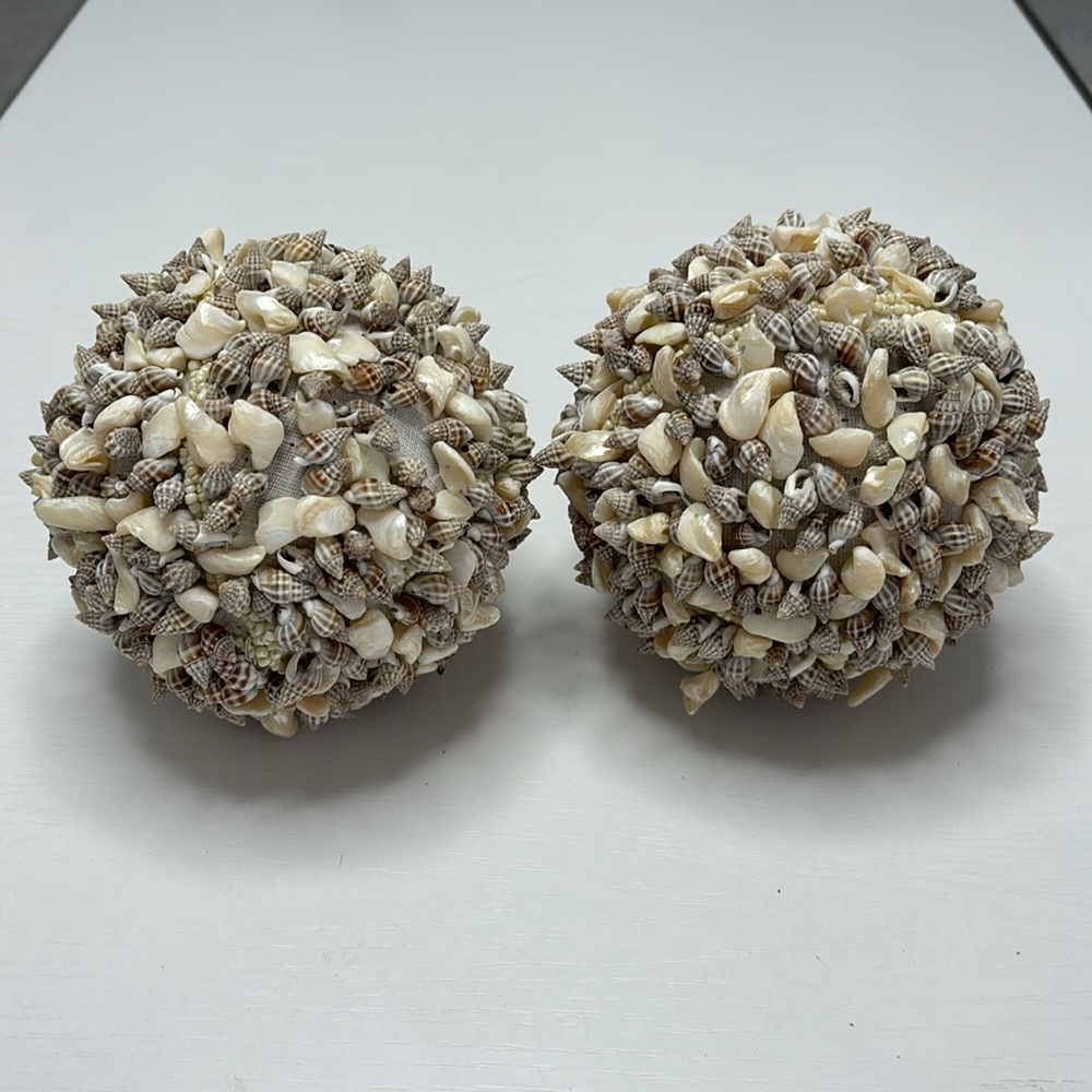 🐚 Shells Balls 🐚 - Picture 2 of 4